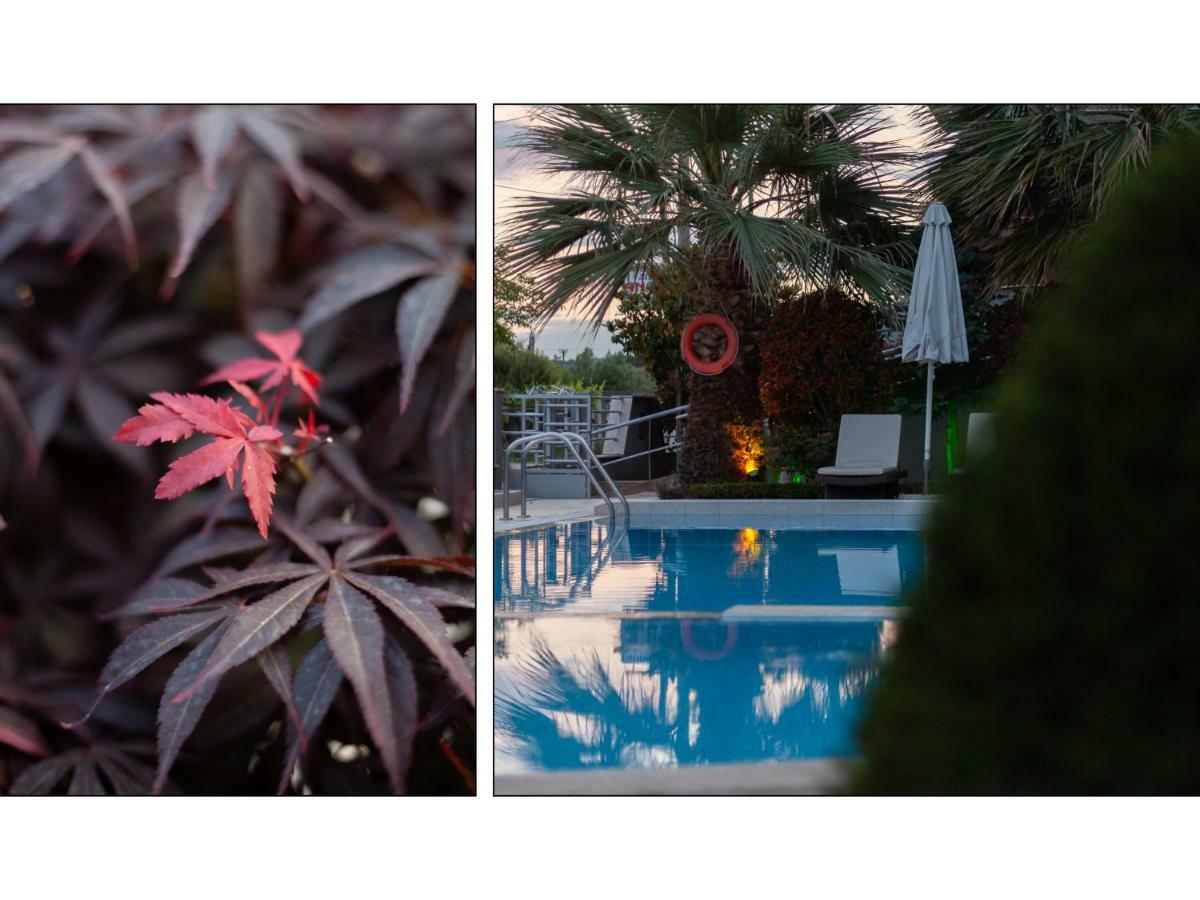 Anthodi Hotel Stavros  Bagian luar foto